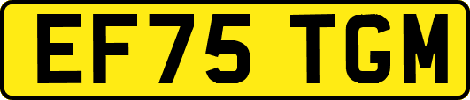 EF75TGM
