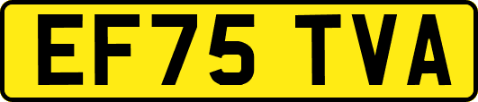 EF75TVA