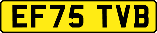 EF75TVB