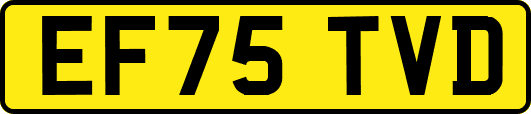EF75TVD