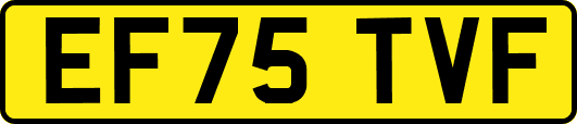 EF75TVF