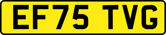 EF75TVG