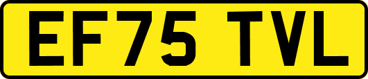 EF75TVL