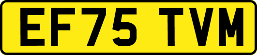 EF75TVM