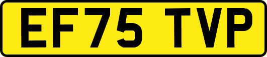 EF75TVP