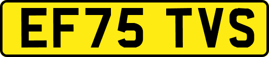 EF75TVS