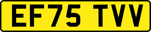 EF75TVV