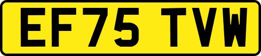 EF75TVW