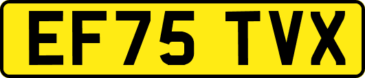 EF75TVX