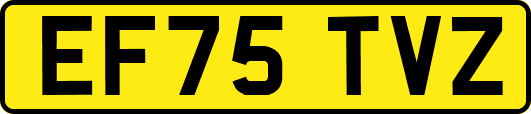 EF75TVZ