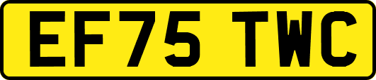 EF75TWC