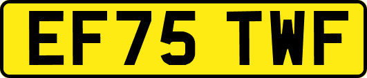 EF75TWF