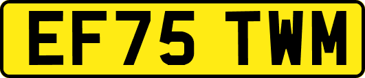 EF75TWM