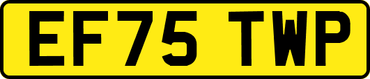 EF75TWP