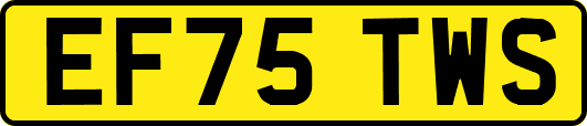EF75TWS