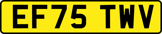 EF75TWV