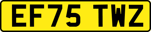 EF75TWZ