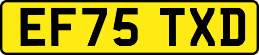EF75TXD