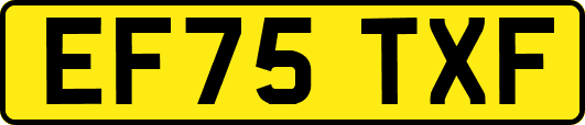 EF75TXF