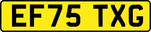 EF75TXG