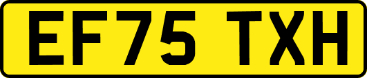 EF75TXH