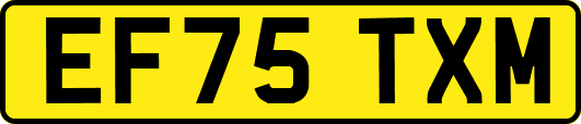 EF75TXM