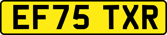 EF75TXR
