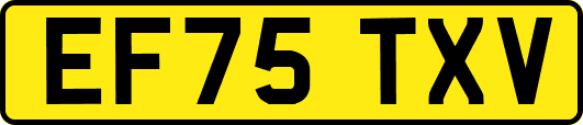 EF75TXV