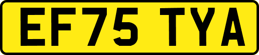 EF75TYA