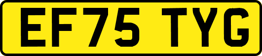 EF75TYG
