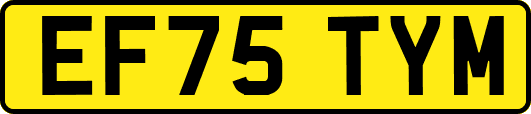 EF75TYM
