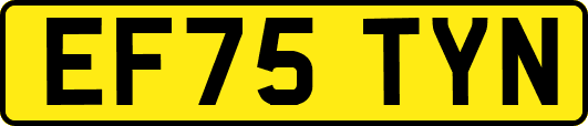 EF75TYN