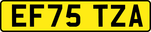 EF75TZA