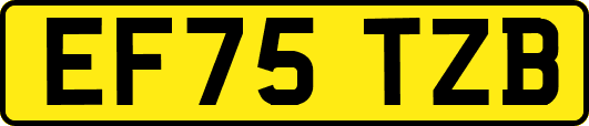 EF75TZB