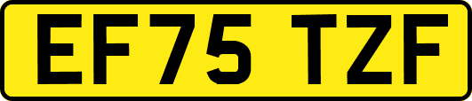 EF75TZF