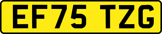 EF75TZG