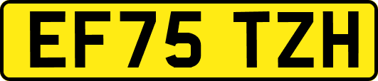 EF75TZH