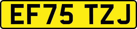 EF75TZJ