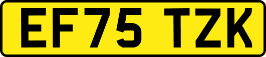 EF75TZK