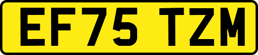 EF75TZM