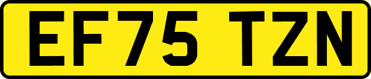EF75TZN