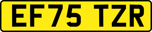 EF75TZR