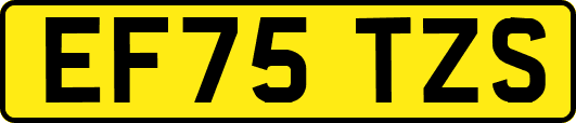 EF75TZS