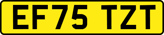 EF75TZT