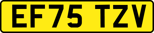 EF75TZV