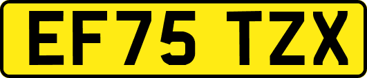 EF75TZX