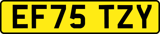 EF75TZY