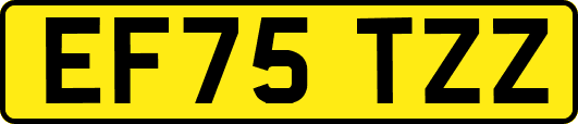 EF75TZZ