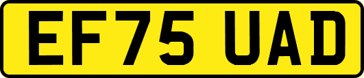 EF75UAD