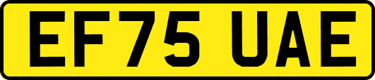 EF75UAE
